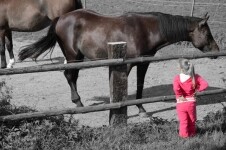 Ranč Ztracená podkova - Naučná stezka o koních (foto 3)