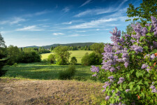 Přírodní rezervace Čtyři palice (foto 6)