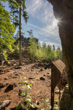 CHKO Žďárské vrchy (foto 4)