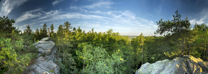 Přírodní rezervace Čtyři palice (foto 8)