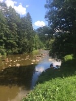 Přírodní rezervace Stvořidla (foto 4)