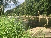 Přírodní rezervace Stvořidla (foto 3)