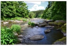 Přírodní rezervace Stvořidla (foto 8)