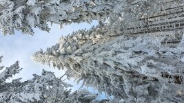 Na nejvyšší vrch Vysočiny (foto 2)