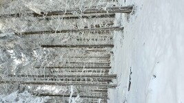 Na nejvyšší vrch Vysočiny (foto 3)