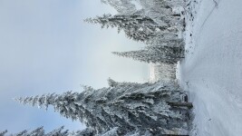 Na nejvyšší vrch Vysočiny (foto 8)