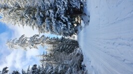 Okolím města Telč (foto 4)