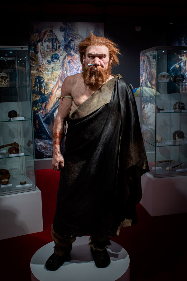 Muzeum Aleše Hrdličky Humpolec (foto 1)