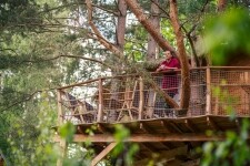Treehouse - Stvořidla (foto 9)