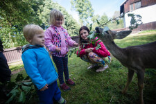 Záchranná stanice Pavlov (foto 2)
