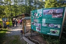 Záchranná stanice Pavlov (foto 3)