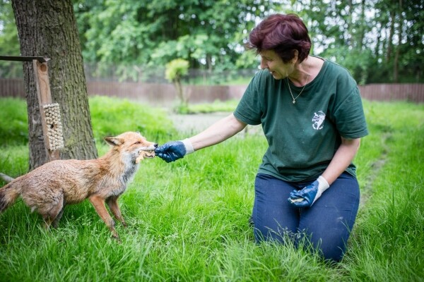 Záchranná stanice Pavlov (foto 1)