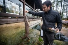 Záchranná stanice Pavlov (foto 9)