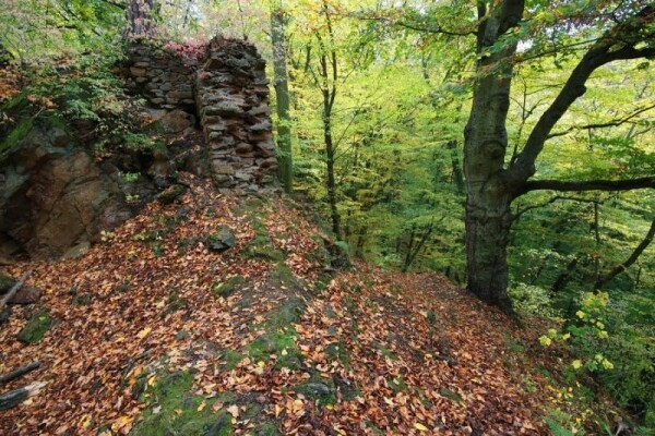 Zřícenina hradu Lamberk (foto 1)