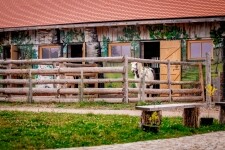 Ranč Telč (foto 4)