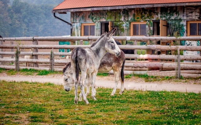 Ranč Telč (foto 1)