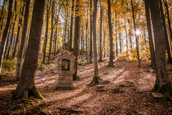 Naučná stezka Křemešník (foto 1)