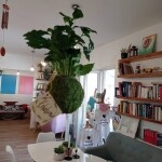 Kavárna Paseka (foto 6)