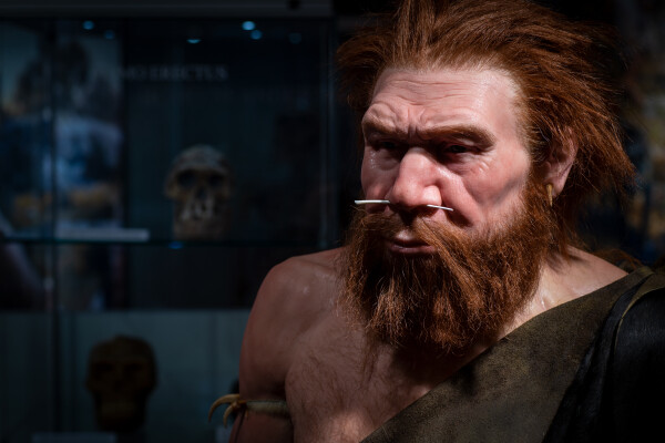 Muzeum Dr. Aleše Hrdličky Humpolec (foto 1)