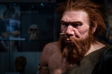 Muzeum Aleše Hrdličky Humpolec (foto 2)