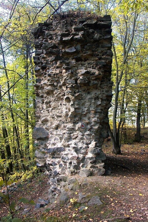 Zřícenina hradu Rabštejn (foto 1)