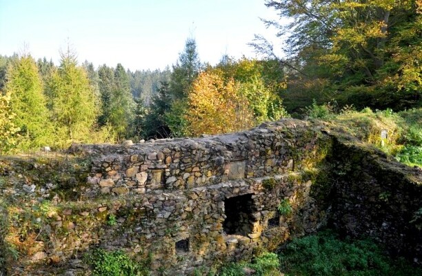 Zřícenina hradu Ronovec (foto 1)