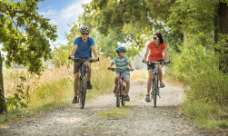 FRENCH HOMECOOKING UNDER JAVOŘICE (photo 2)