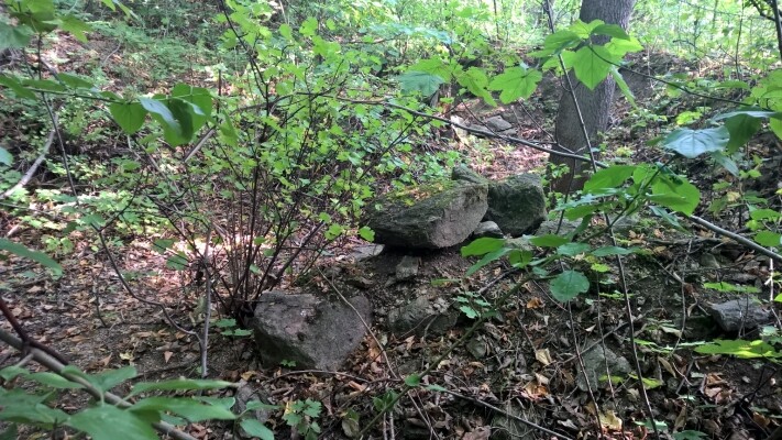 Zřícenina hradu Mostiště (foto 1)