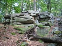 FRENCH HOMECOOKING UNDER JAVOŘICE (photo 11)