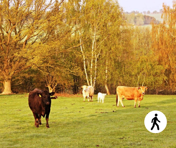 Na Čeřínek se svačinou z farmy (foto 1)