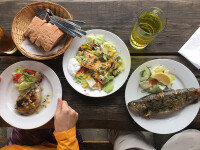 Letní Restaurace U Roštěnky (foto 5)