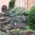 Kavárna Na Kolíbce (foto 5)