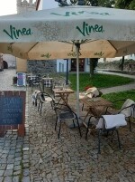 Art Coffee Jihlava (foto 4)