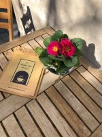 Kavárna U Židovské brány (foto 4)