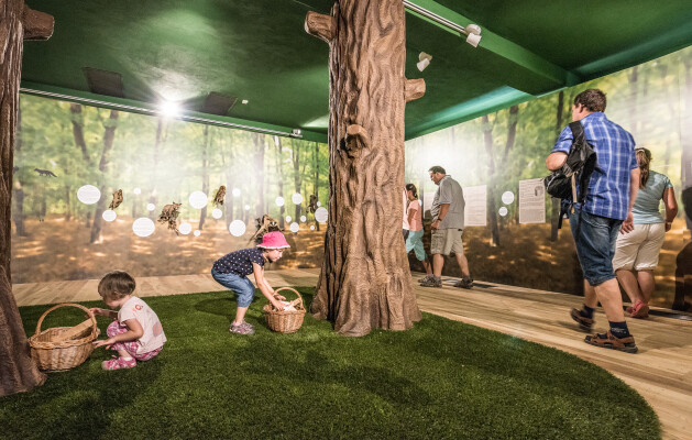 Panský dvůr Telč (foto 1)