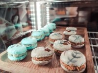 U bílé kočky a černého psa (foto 5)