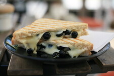 U bílé kočky a černého psa (foto 8)