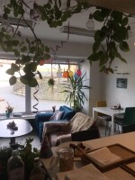 U bílé kočky a černého psa (foto 3)