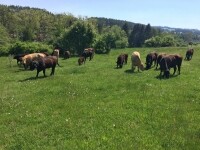 Farma Tasov (foto 5)