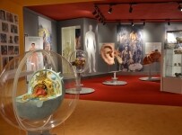 Muzeum Dr. Aleše Hrdličky Humpolec (foto 3)