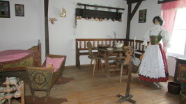 Muzeum Dr. Aleše Hrdličky Humpolec (foto 10)