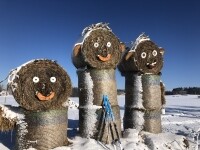 Severozápadní okruh z Humpolce kolem Kališť (foto 2)