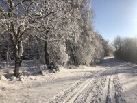 Severozápadní okruh z Humpolce kolem Kališť (foto 4)