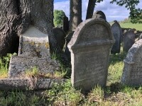 Židovský hřbitov Větrný Jeníkov (foto 5)
