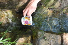 Naučná stezka K pramenům Počátek a okolí (foto 2)