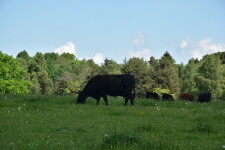 Chadimův mlýn Horní Dubenky (foto 6)