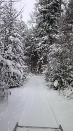 Běžecké lyžařské trasy na Telčsku (foto 3)