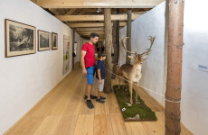 Замок Роштейн (фото 3)