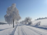Běžecké lyžařské trasy na Třebíčsku (foto 5)