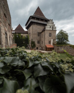 Lipnice nad Sázavou Castle (photo 5)